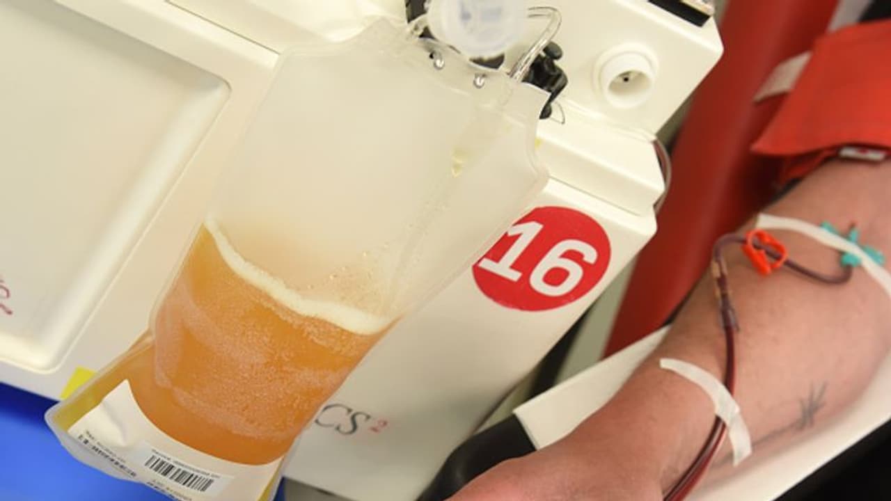 கொரோனாவை ஒழிக்க அதிரடி... பிளாஸ்மா தானம் செய்பவர்களுக்கு ரூ.5,000 ஊக்கத்தொகை... முதல்வர் அதிரடி அறிவிப்பு..! கொரோனாவை ஒழிக்க அதிரடி... பிளாஸ்மா தானம் செய்பவர்களுக்கு ரூ.5,000 ஊக்கத்தொகை... முதல்வர் அதிரடி அறிவிப்பு..!