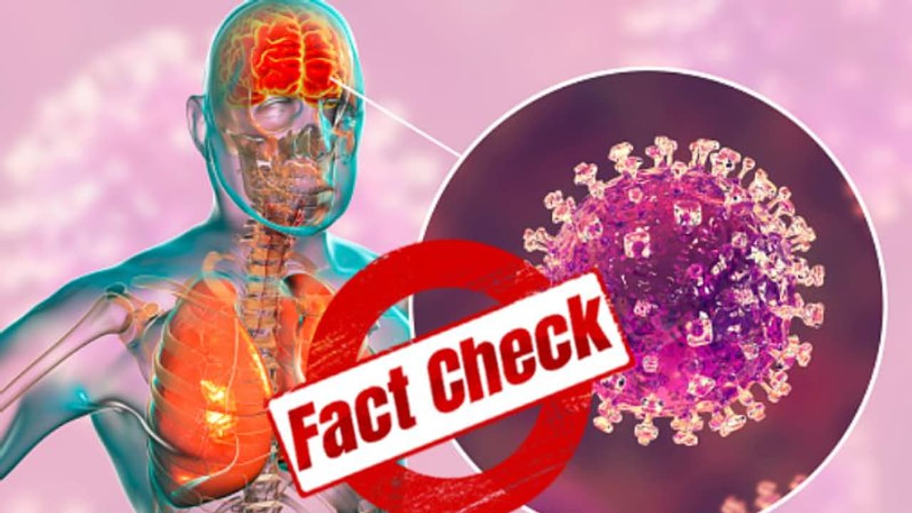 করোনার মধ্যেই ছড়াচ্ছে নিপা ভাইরাস, সত্যিই কি এমন 'সতর্কতা' জারি করল বিশ্ব স্বাস্থ্য সংস্থা করোনার মধ্যেই ছড়াচ্ছে নিপা ভাইরাস, সত্যিই কি এমন 'সতর্কতা' জারি করল বিশ্ব স্বাস্থ্য সংস্থা