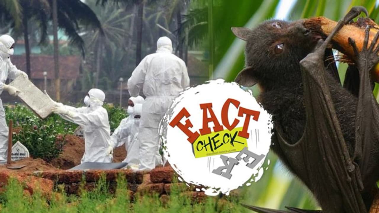 ഇന്ത്യയിൽ വീണ്ടും നിപ്പ പടരുന്നതായി വ്യാജ പ്രചാരണം ഇന്ത്യയിൽ വീണ്ടും നിപ്പ പടരുന്നതായി വ്യാജ പ്രചാരണം