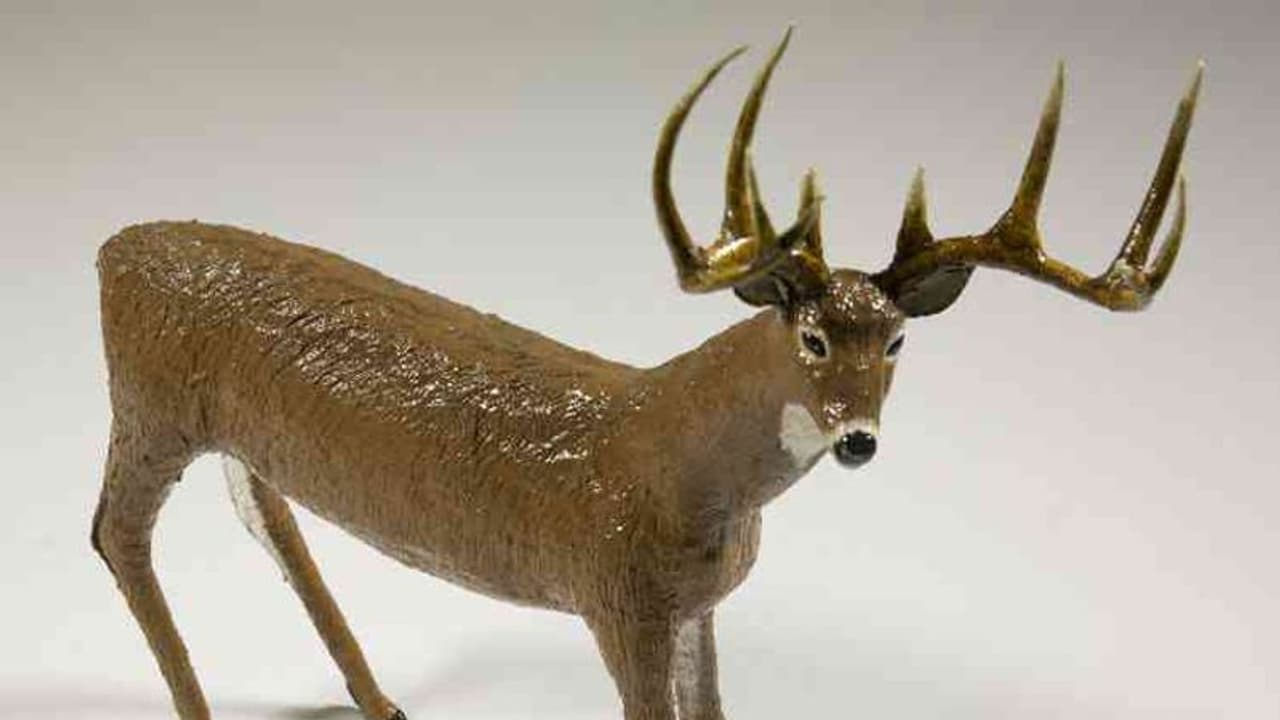 కృష్ణ జింకల వేట కేసులో సంచలన విషయాలు: హైద్రాబాద్‌ నుండి షార్ప్ షూటర్లు