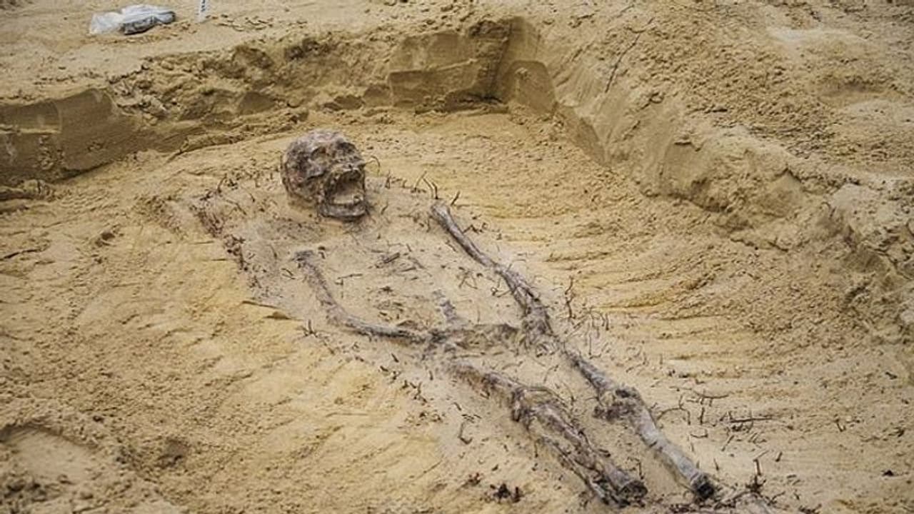 ದಕ್ಷಿಣ ಭಾರತದಲ್ಲಿ ನಾಗರಿಕತೆ ಕುರುಹು, ವಯಸ್ಕ ಅಸ್ತಿಪಂಜರ ಪತ್ತೆ!