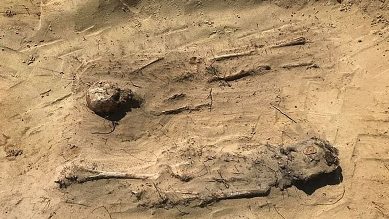 একটি কঙ্কাল, আর সেটাই নাকি জট খুলবে ৪১ হাজার বছর আগের পাথরের যুগের রহস্যের একটি কঙ্কাল, আর সেটাই নাকি জট খুলবে ৪১ হাজার বছর আগের পাথরের যুগের রহস্যের