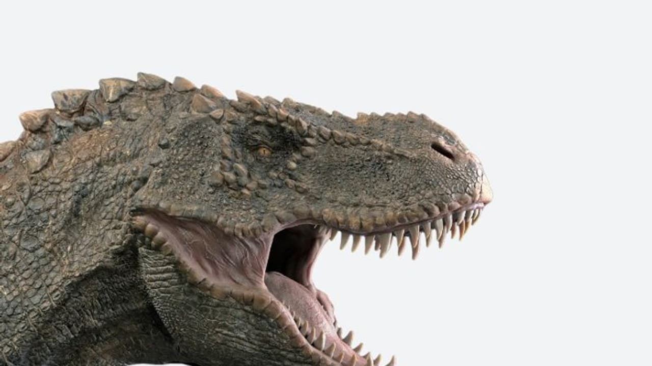 ദിനോസറുകള് എങ്ങനെ 'ഭൂമിയിലെ രാജക്കന്മാരായി വാണൂ' ; പുതിയ തെളിവുകള് ഇങ്ങനെ ദിനോസറുകള് എങ്ങനെ 'ഭൂമിയിലെ രാജക്കന്മാരായി വാണൂ' ; പുതിയ തെളിവുകള് ഇങ്ങനെ