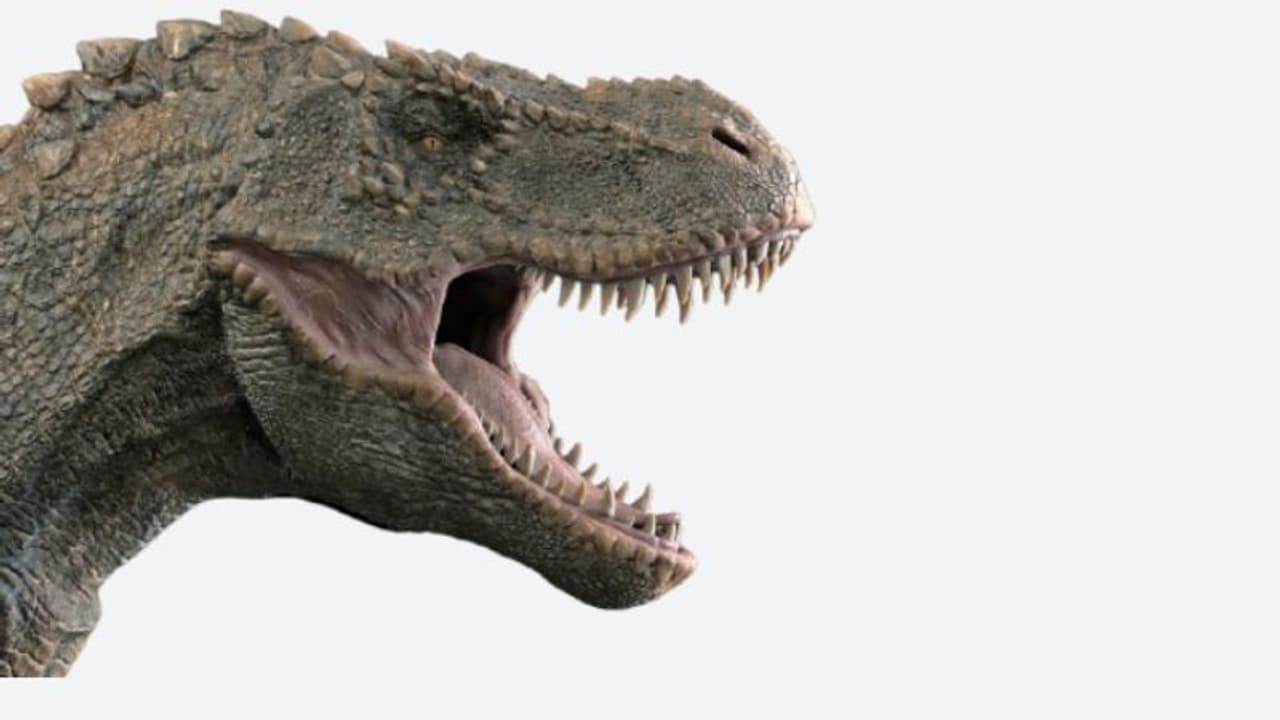 ദിനോസറുകളെ ഇല്ലാതാക്കിയത് അഗ്‌നിപര്‍വ്വത സ്‌ഫോടനങ്ങളല്ല!