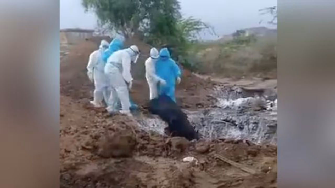 కరోనా రోగులపై నిర్దయ: ఒకే గుంతలో 8 మృతదేహాలు విసిరి, చేతులు దులుపుకెళ్లారు కరోనా రోగులపై నిర్దయ: ఒకే గుంతలో 8 మృతదేహాలు విసిరి, చేతులు దులుపుకెళ్లారు