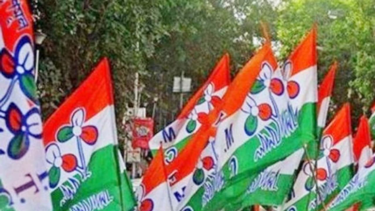 একশো দিনের প্রকল্পের টাকা 'আত্মসাৎ', তৃণমূলের পঞ্চায়েত প্রধানের অভিযোগ দলেরই নেতার