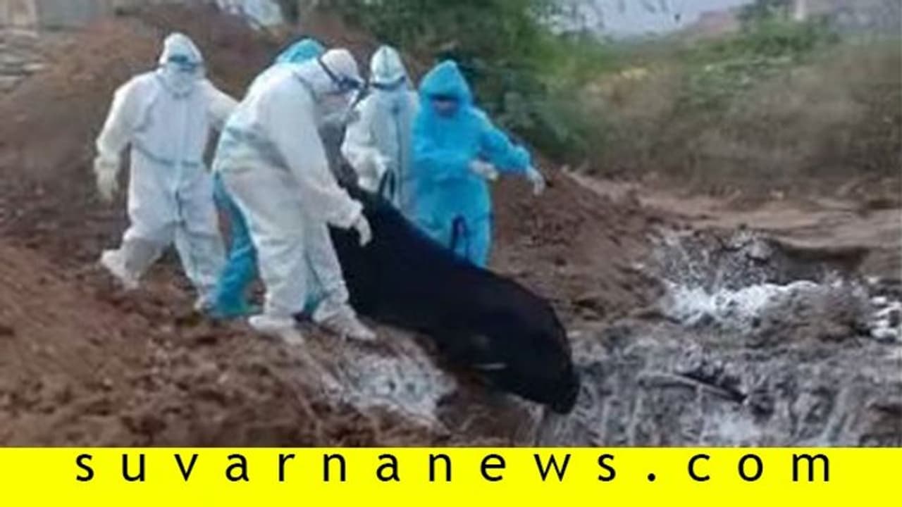 ಮೃತದೇಹದಿಂದ ಕೊರೋನಾ ಹರಡಲ್ಲ: ಅಗೌರವ ತೋರಿ ಮಾನವೀಯತೆ ಮರೆಯಬೇಡಿ! ಮೃತದೇಹದಿಂದ ಕೊರೋನಾ ಹರಡಲ್ಲ: ಅಗೌರವ ತೋರಿ ಮಾನವೀಯತೆ ಮರೆಯಬೇಡಿ!