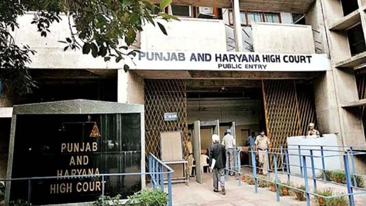 17 साल में भी मुस्लिम लड़की कर सकती है शादी, वह इसके लिए स्वतंत्र,जानिए पंजाब हरियाणा हाईकोर्ट के फैसले की वजह