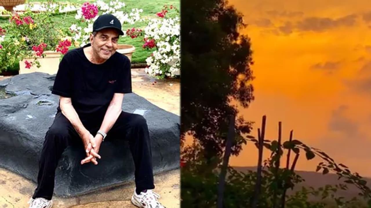 84 साल के धर्मेंद्र ने दिखाया फॉर्महाउस का खूबसूरत नजारा, सुनहरे बादलों को देख लोगों ने कही ये बात 84 साल के धर्मेंद्र ने दिखाया फॉर्महाउस का खूबसूरत नजारा, सुनहरे बादलों को देख लोगों ने कही ये बात