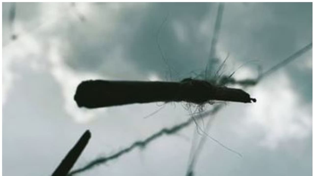 ലഹരിക്കെതിരെ പൊക, ഹ്രസ്വ ചിത്രം ശ്രദ്ധേയമാകുന്നു ലഹരിക്കെതിരെ പൊക, ഹ്രസ്വ ചിത്രം ശ്രദ്ധേയമാകുന്നു