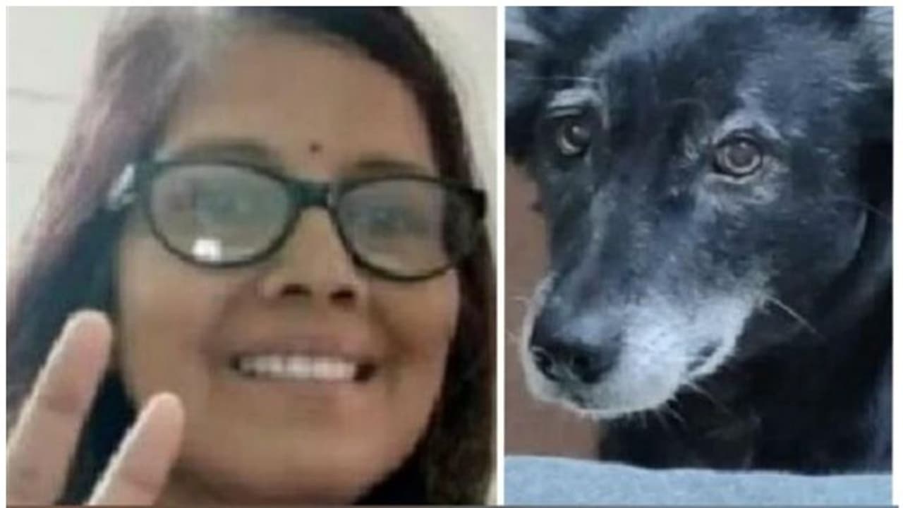 ഉടമസ്ഥയായ സ്ത്രീ മരിച്ചു, സങ്കടം സഹിക്കാനാവാതെ വളർത്തുപട്ടി നാലാം നിലയിൽ നിന്ന് ചാടി മരിച്ചു