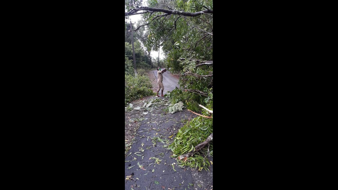 ರಸ್ತೆಗೆ ಮರ: ಎಸ್ಸೆಸ್ಸೆಲ್ಸಿ ಮಕ್ಕಳಿಗೆ ನೆರವಾದ ಬಿಇಒ ಬಿಂಬ ರಸ್ತೆಗೆ ಮರ: ಎಸ್ಸೆಸ್ಸೆಲ್ಸಿ ಮಕ್ಕಳಿಗೆ ನೆರವಾದ ಬಿಇಒ ಬಿಂಬ