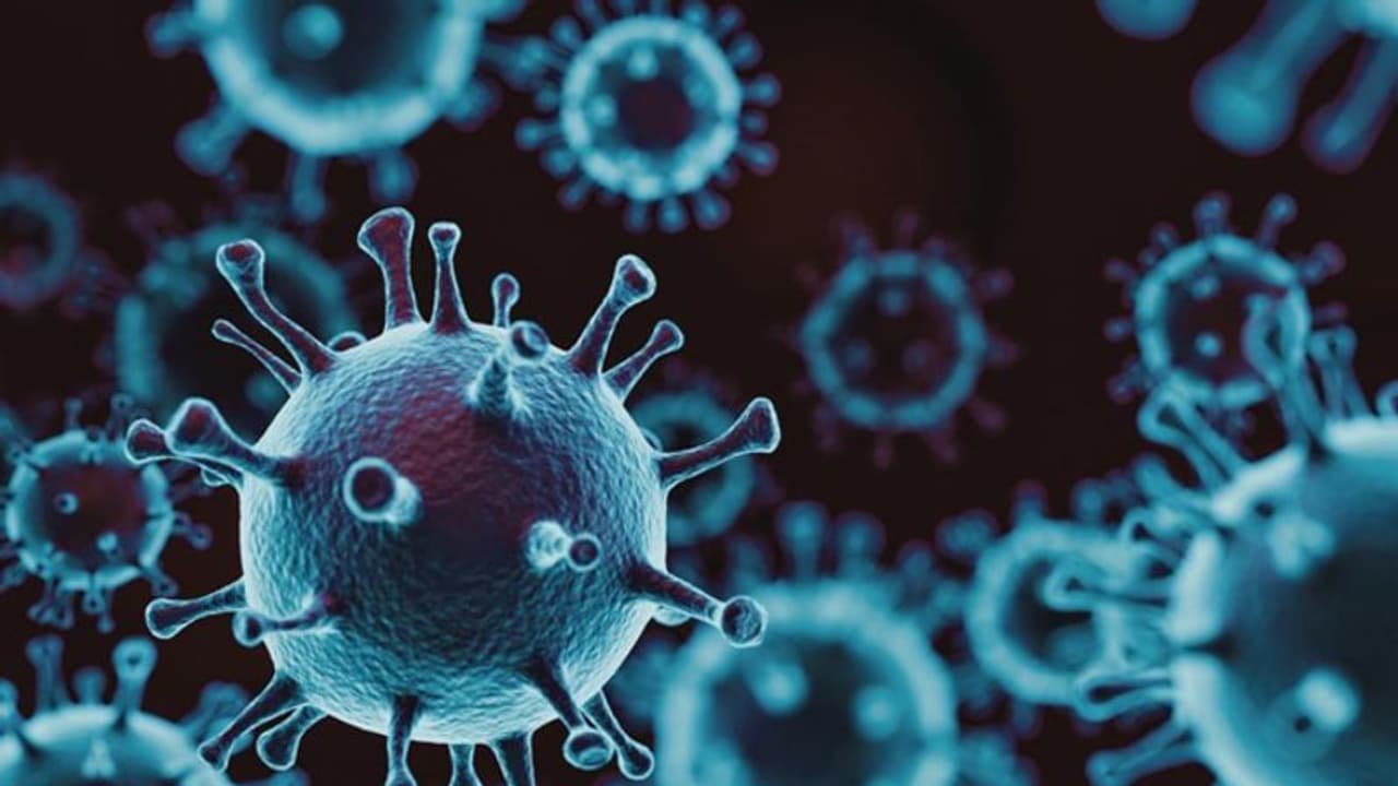 കൊവിഡ് പ്രതിരോധത്തില് രാജ്യങ്ങള് നീങ്ങുന്നത് തെറ്റായ ദിശയിലെന്ന് ലോകാരോഗ്യ സംഘടന കൊവിഡ് പ്രതിരോധത്തില് രാജ്യങ്ങള് നീങ്ങുന്നത് തെറ്റായ ദിശയിലെന്ന് ലോകാരോഗ്യ സംഘടന