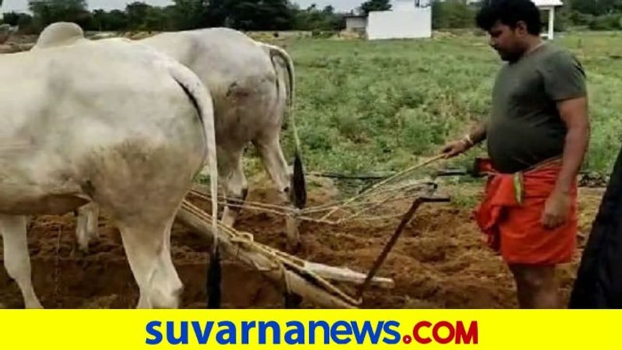 ಬೆಂಗ್ಳೂರು ಬಿಟ್ಟು ಹಳ್ಳಿ ಸೇರಿ ನೇಗಿಲು ಹಿಡಿದ ಮಾಜಿ ಶಾಸಕ..!