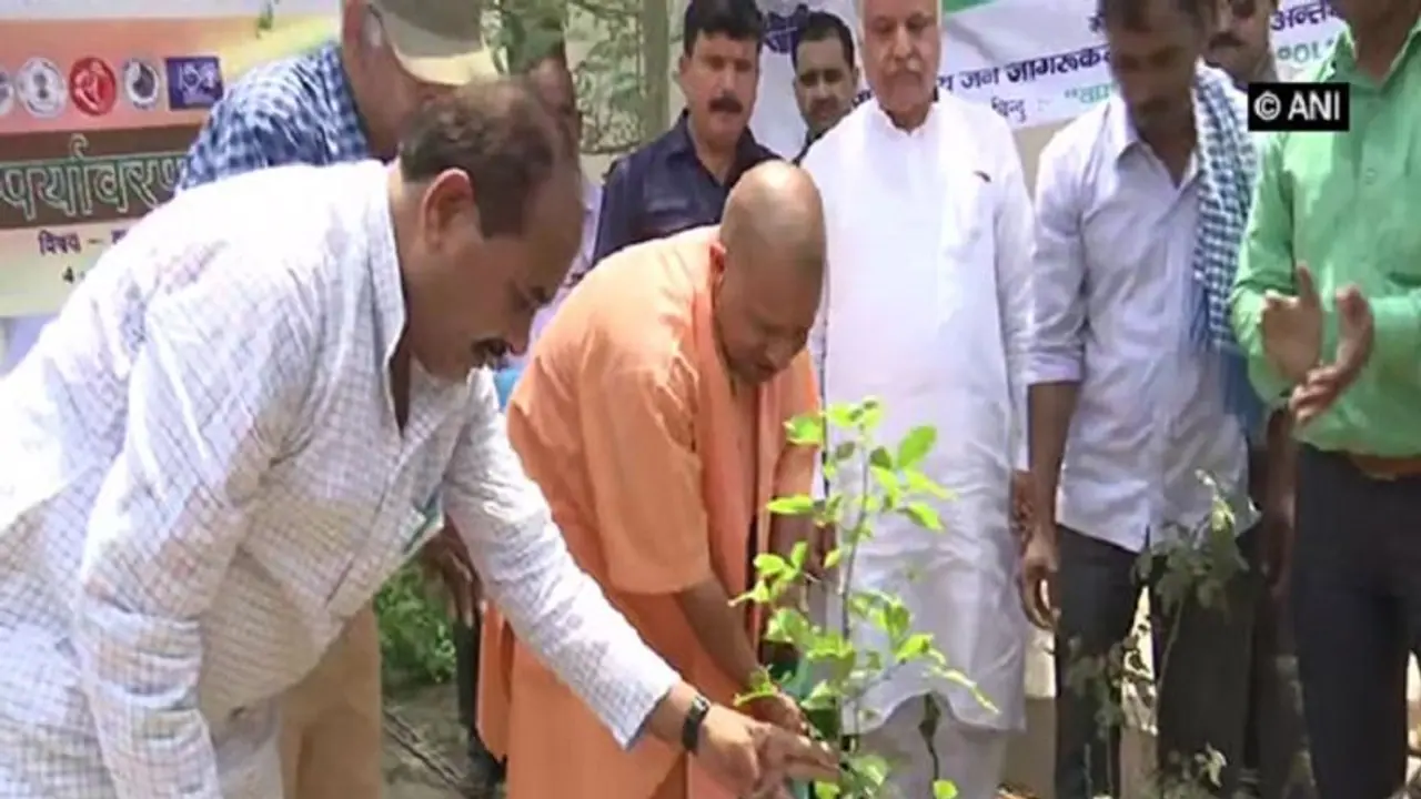 Yogi Adityanath govt to plant 25 crore saplings while maintaining distance during mass plantation drive