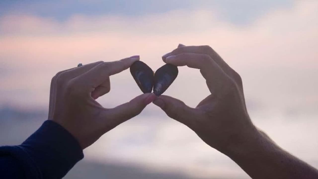 ഒരിക്കല് 'സോള്മേറ്റ്' ആയിരുന്നവര് പിന്നീട് പിരിയുന്നതെങ്ങനെ? ഒരിക്കല് 'സോള്മേറ്റ്' ആയിരുന്നവര് പിന്നീട് പിരിയുന്നതെങ്ങനെ?