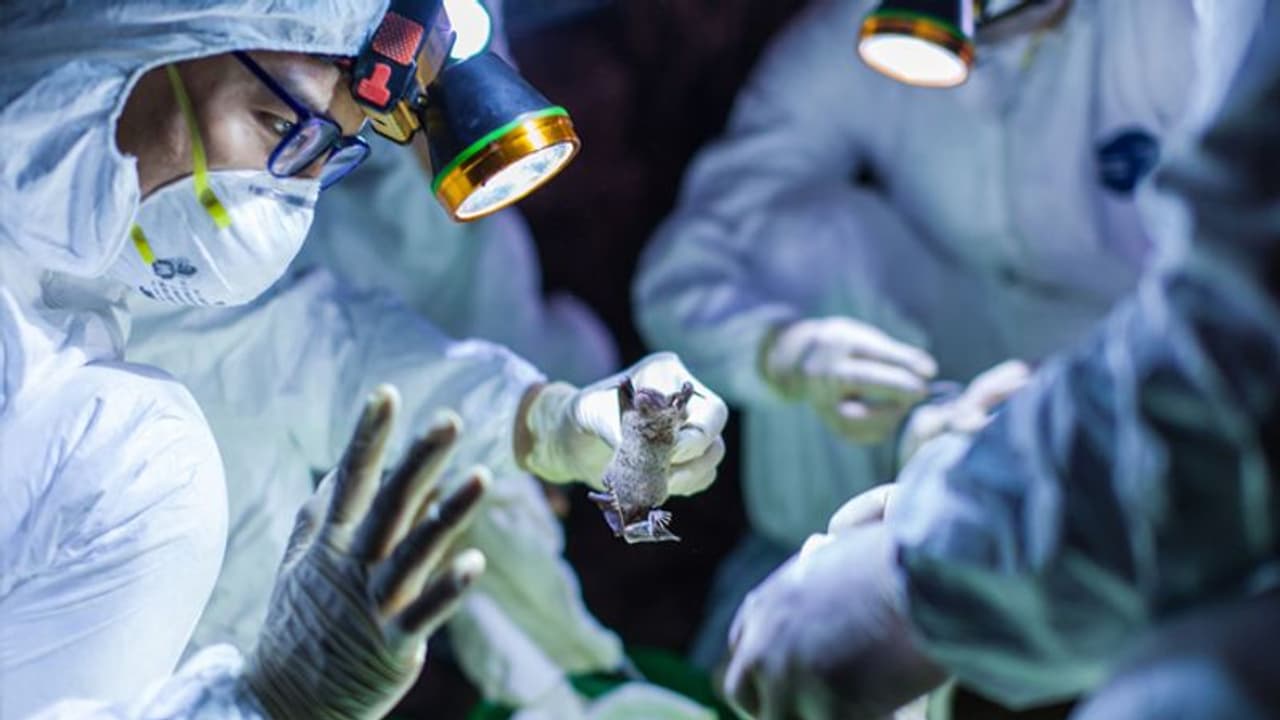 కరోనా వైరస్ మృతుడికి అంత్యక్రియలు: మానవత్వం చాటుకున్న డాక్టర్ కరోనా వైరస్ మృతుడికి అంత్యక్రియలు: మానవత్వం చాటుకున్న డాక్టర్