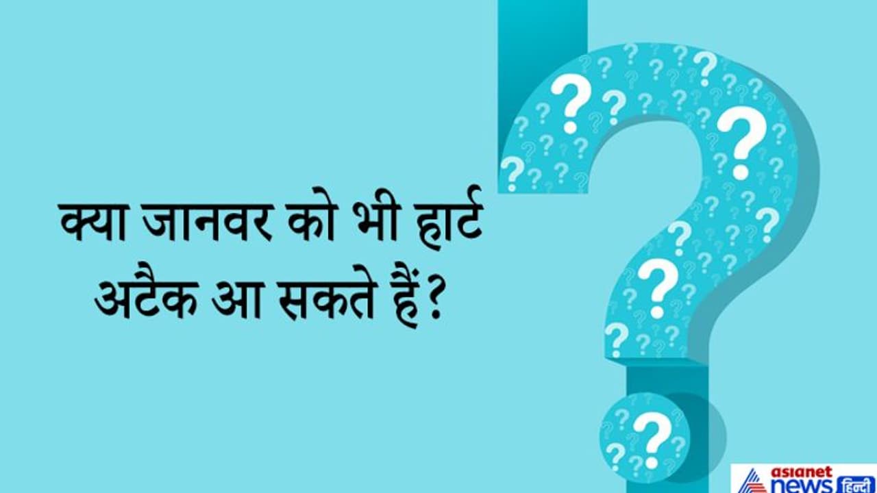 दिमाग में तीर जैसे चुभेंगे IAS इंटरव्यू के ये 10 सवाल...शॉर्प माइंड वाले लॉजिक से निकाल लेंगे सही हल दिमाग में तीर जैसे चुभेंगे IAS इंटरव्यू के ये 10 सवाल...शॉर्प माइंड वाले लॉजिक से निकाल लेंगे सही हल