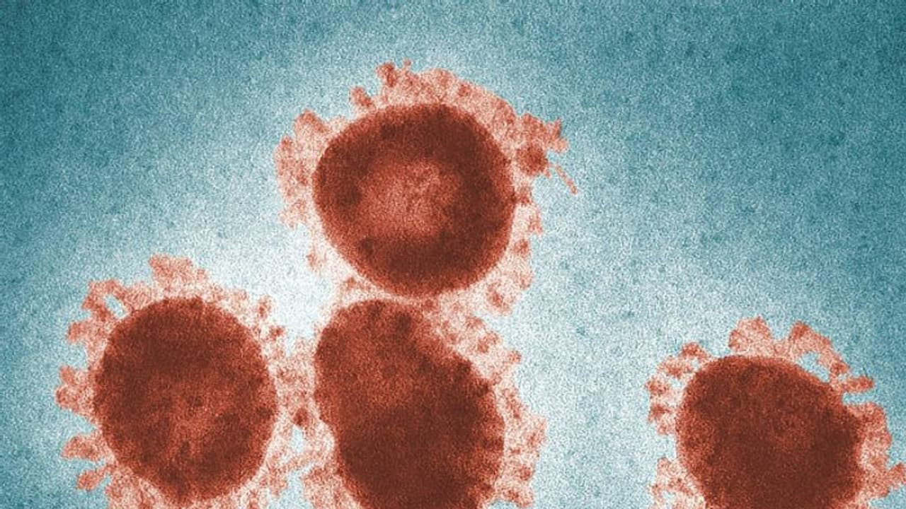 കൊവിഡ് 19; പുതിയ മൊബൈൽ ആപ്പുമായി ലോകാരോഗ്യ സംഘടന