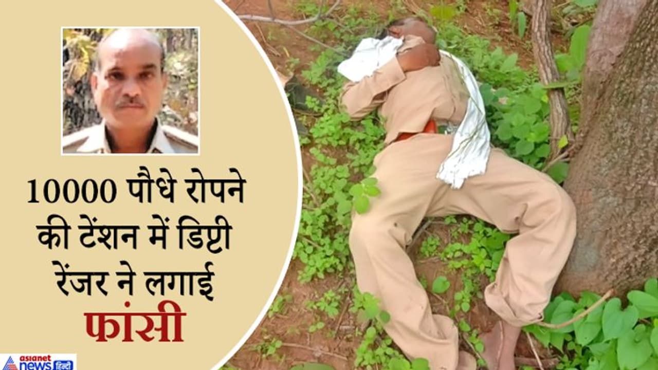 3700 गड्ढे देख तनाव में आया डिप्टी रेंजर, क्योंकि उसको 10 हजार पौधे लगाने थे...और कर लिया सुसाइड 3700 गड्ढे देख तनाव में आया डिप्टी रेंजर, क्योंकि उसको 10 हजार पौधे लगाने थे...और कर लिया सुसाइड