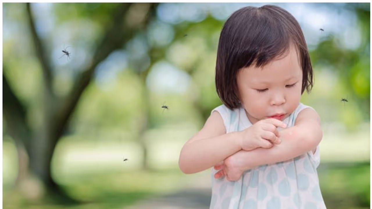 കൊതുകുകളിൽ നിന്ന് കുട്ടികളെ സംരക്ഷിക്കാൻ ചെയ്യേണ്ടത്... കൊതുകുകളിൽ നിന്ന് കുട്ടികളെ സംരക്ഷിക്കാൻ ചെയ്യേണ്ടത്...