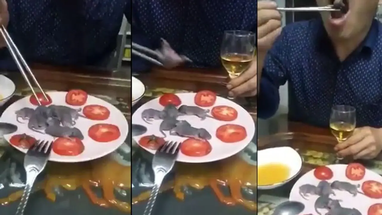 Viral video: Man dips baby mouse in sauce, eats it alive Viral video: Man dips baby mouse in sauce, eats it alive