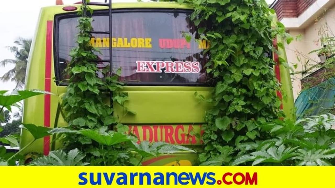 ರಸ್ತೆಗಿಳಿಯದ ಬಸ್ಗಳಿಗೆ ಹಸಿರು ಅಲಂಕಾರ..! ತುಕ್ಕು ಹಿಡೀತಿವೆ ಪ್ರೈವೆಟ್ ಬಸ್ಗಳು ರಸ್ತೆಗಿಳಿಯದ ಬಸ್ಗಳಿಗೆ ಹಸಿರು ಅಲಂಕಾರ..! ತುಕ್ಕು ಹಿಡೀತಿವೆ ಪ್ರೈವೆಟ್ ಬಸ್ಗಳು