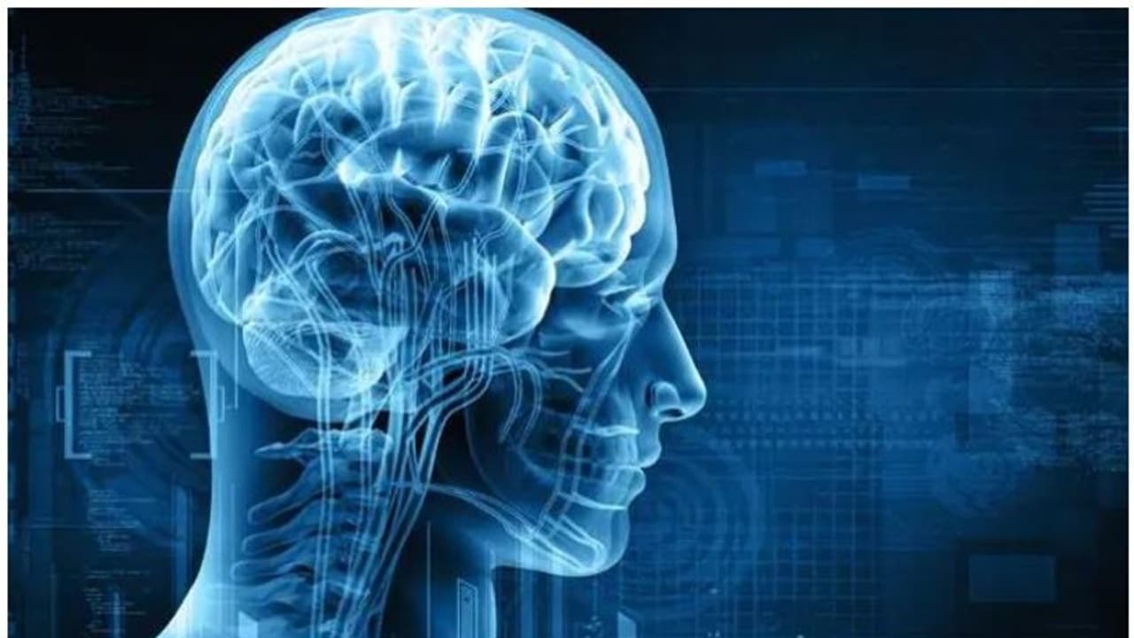 അമിത വണ്ണവും മസ്തിഷ്കത്തിലെ തകരാറുകളും തമ്മിൽ ബന്ധമുണ്ടെന്ന് പഠനം