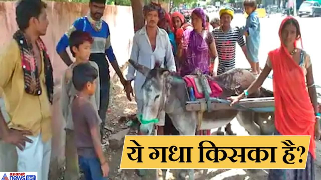 5 साल पहले चोरी हुआ था गधा, झुंड में चरते दिखा तो मालिक ने पुकारा..वो दौड़ा दौड़ा चला आया 5 साल पहले चोरी हुआ था गधा, झुंड में चरते दिखा तो मालिक ने पुकारा..वो दौड़ा दौड़ा चला आया