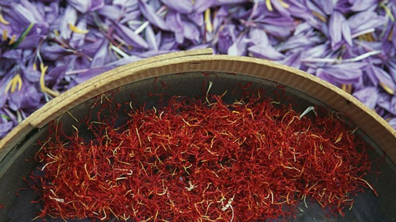 കുങ്കുമപ്പൂവ് നട്ടുവളര്ത്തിയിട്ടുണ്ടോ? ജൂണ് മുതല് സെപ്റ്റംബര് വരെ യോജിച്ച സമയം കുങ്കുമപ്പൂവ് നട്ടുവളര്ത്തിയിട്ടുണ്ടോ? ജൂണ് മുതല് സെപ്റ്റംബര് വരെ യോജിച്ച സമയം