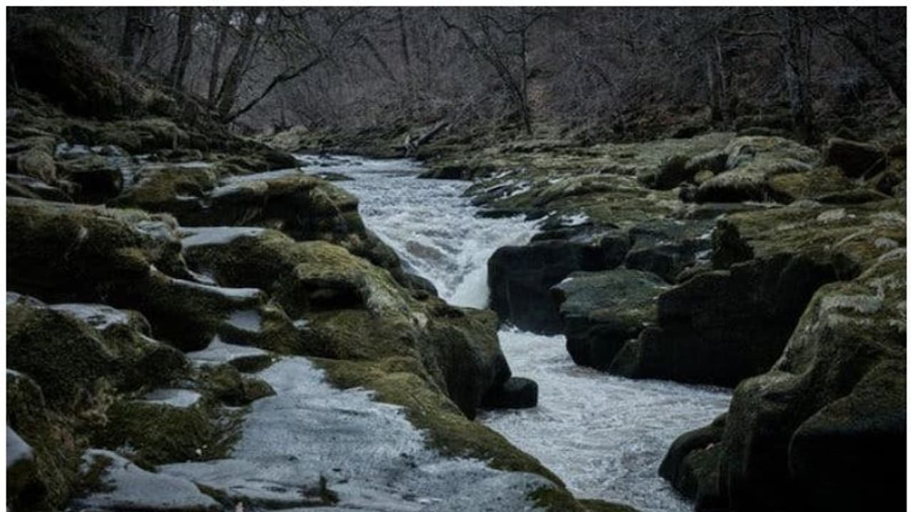 അപകടം പതിയിരിക്കുന്ന അരുവി, വീണുപോയാല് കാത്തിരിക്കുന്നത് മരണം... അപകടം പതിയിരിക്കുന്ന അരുവി, വീണുപോയാല് കാത്തിരിക്കുന്നത് മരണം...