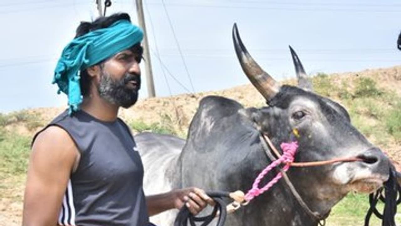 ஊரடங்கு நடுவில்... ஊரே அடங்கி நிற்கும் கருப்பனை பிடித்து செல்லும் சூரி..! குவியும் லைக்ஸ்..!