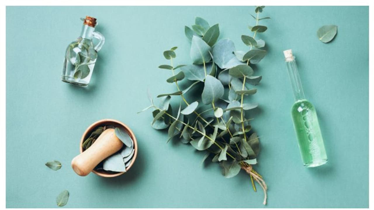 এই গাছের তৈরি অলঙ্কার পরলেই রোধ করা যাবে মারণ করোনাকে, চাঞ্চল্যকর দাবি করলেন কৃষিমন্ত্রী