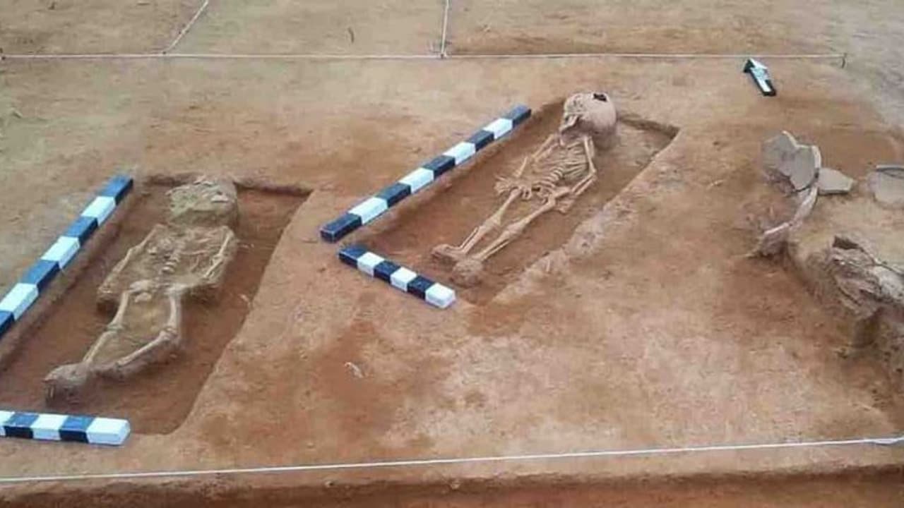 கீழடியில் கிடைத்த அடுத்த பொக்கிஷம் எலும்பு கூடு..! தீவிரப்பணியில் தொல்லியல் ஆய்வாளர்கள்.!! கீழடியில் கிடைத்த அடுத்த பொக்கிஷம் எலும்பு கூடு..! தீவிரப்பணியில் தொல்லியல் ஆய்வாளர்கள்.!!