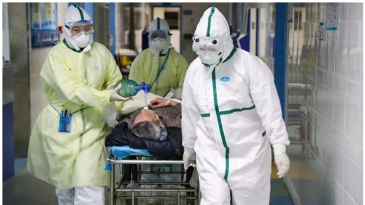 കൊവിഡ് രോഗികളുടെ മരണത്തിന് പലപ്പോഴും കാരണമാകുന്നത് വൈറസല്ല, അവരുടെ പ്രതിരോധ സംവിധാനം തന്നെയെന്ന് പഠനം കൊവിഡ് രോഗികളുടെ മരണത്തിന് പലപ്പോഴും കാരണമാകുന്നത് വൈറസല്ല, അവരുടെ പ്രതിരോധ സംവിധാനം തന്നെയെന്ന് പഠനം