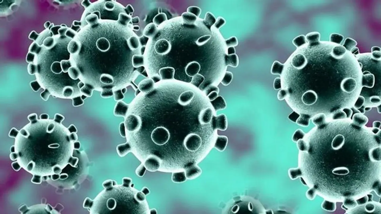 Coronavirus: US COVID 19 tally sets single day record with over 60,000 cases Coronavirus: US COVID 19 tally sets single day record with over 60,000 cases