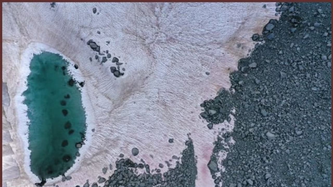 ഇവിടെ മഞ്ഞിന്റെ നിറം പിങ്ക്, ശുഭസൂചനയല്ല, ലോകത്തെ അത്ഭുതപ്പെടുത്തുന്ന മാറ്റം ഇങ്ങനെ ഇവിടെ മഞ്ഞിന്റെ നിറം പിങ്ക്, ശുഭസൂചനയല്ല, ലോകത്തെ അത്ഭുതപ്പെടുത്തുന്ന മാറ്റം ഇങ്ങനെ