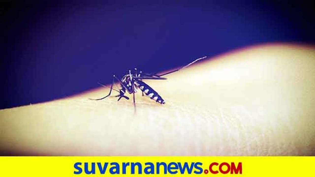 ಯಾದಗಿರಿ: ಚಿಕುನ್ ಗುನ್ಯಾ ಖಾಯಿಲೆಗೆ ಹಾಸಿಗೆ ಹಿಡಿದ ಇಡೀ ಗ್ರಾಮ, ಅಧಿಕಾರಿಗಳ ನಿರ್ಲಕ್ಷ್ಯ!