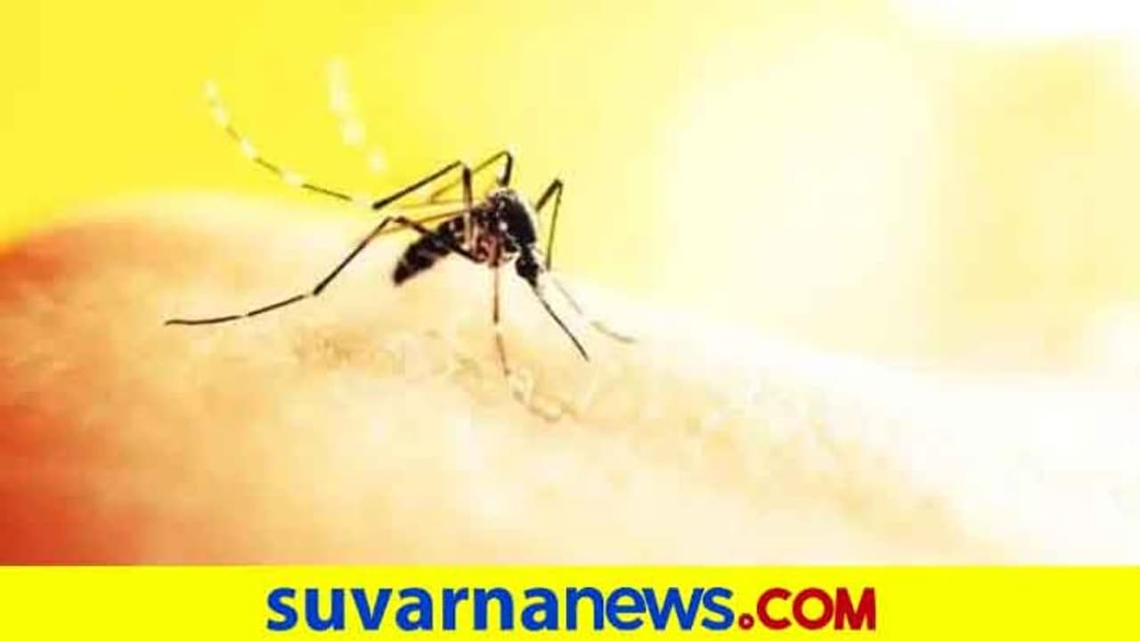 ಕೋಲಾರದಲ್ಲಿ ಶಂಕಿತ ಡೆಂಘೀಗೆ ಯುವಕ ಬಲಿ ಕೋಲಾರದಲ್ಲಿ ಶಂಕಿತ ಡೆಂಘೀಗೆ ಯುವಕ ಬಲಿ