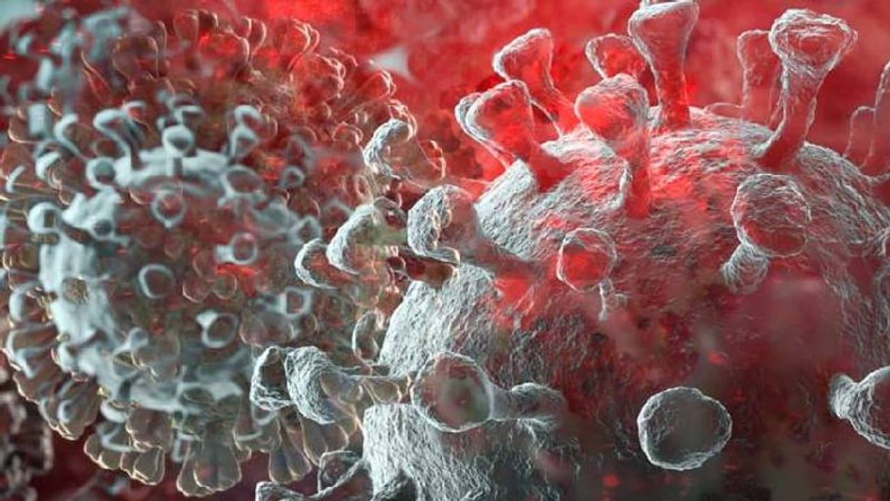 2021ഓടെ ഇന്ത്യയിലെ പ്രതിദിന കൊവിഡ് കേസുകൾ 2.87 ലക്ഷമാവാൻ സാധ്യതയെന്ന് റിപ്പോർട്ട്