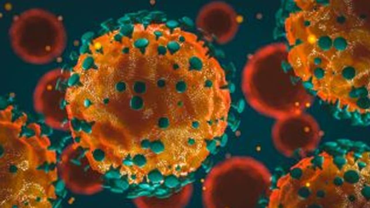 ആന്ധ്രയിൽ കൊവിഡ് മരണം 500 കടന്നു; ആകെ രോഗികളിൽ 29 ശതമാനം 6 ദക്ഷിണേന്ത്യൻ സംസ്ഥാനങ്ങളിൽ ആന്ധ്രയിൽ കൊവിഡ് മരണം 500 കടന്നു; ആകെ രോഗികളിൽ 29 ശതമാനം 6 ദക്ഷിണേന്ത്യൻ സംസ്ഥാനങ്ങളിൽ