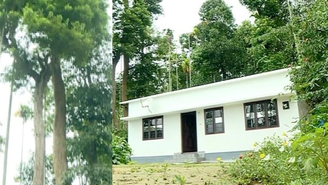 മരം വീണാൽ കിടപ്പാടം ഇല്ലാതാകും; മുട്ടാനിനി വാതിലുകളില്ല, അനക്കമില്ലാതെ അധികൃതർ മരം വീണാൽ കിടപ്പാടം ഇല്ലാതാകും; മുട്ടാനിനി വാതിലുകളില്ല, അനക്കമില്ലാതെ അധികൃതർ