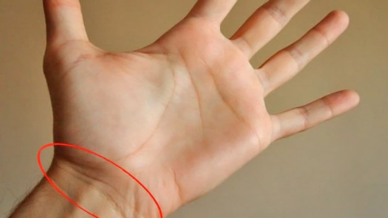 हथेली पर यहां होती हैं मणिबंध रेखाएं, इसे देखकर भी जान सकते हैं उम्र और किस्मत से जुड़ी खास बातें हथेली पर यहां होती हैं मणिबंध रेखाएं, इसे देखकर भी जान सकते हैं उम्र और किस्मत से जुड़ी खास बातें