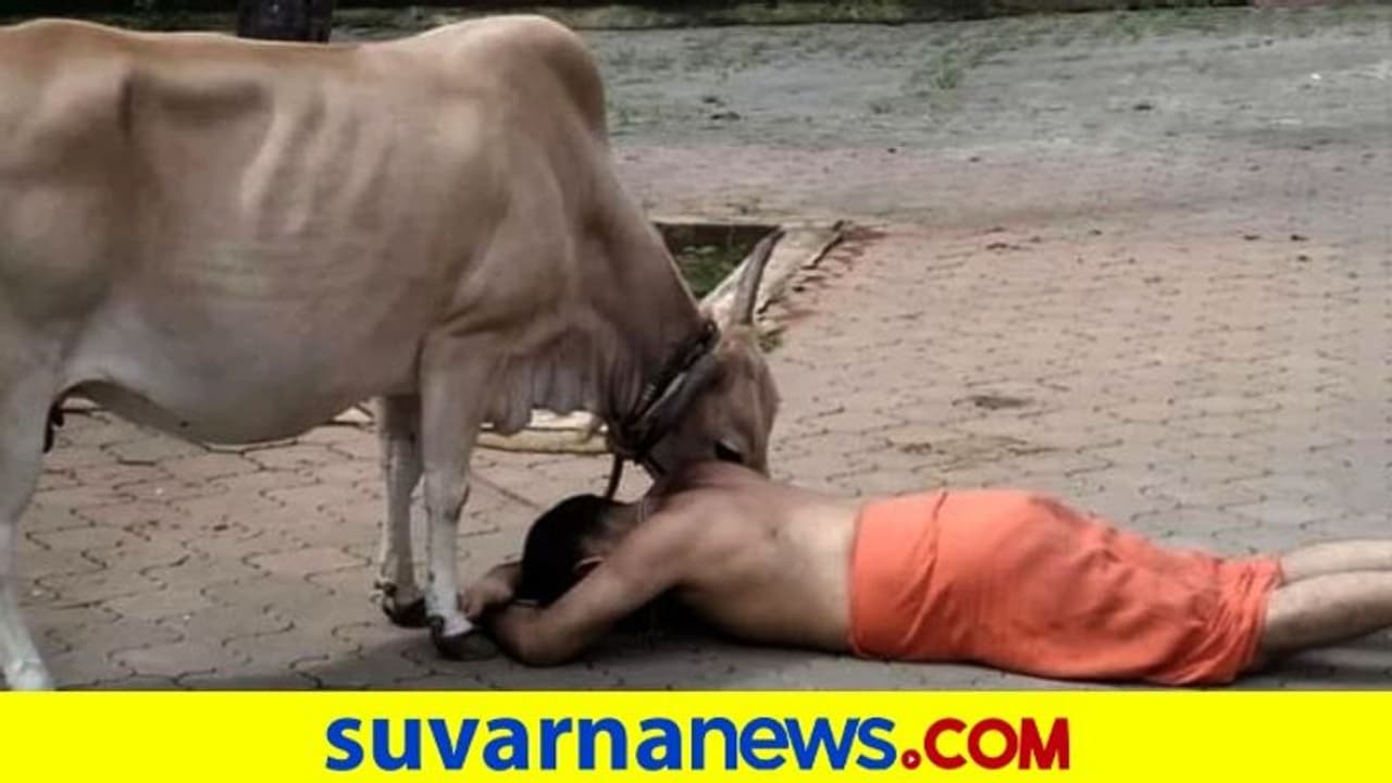 ಕಾಣಿಯೂರು ಶ್ರೀಗಳ ಗೋವಂದನೆಗೆ ನೆಟ್ಟಿಗರು ಫಿದಾ ಕಾಣಿಯೂರು ಶ್ರೀಗಳ ಗೋವಂದನೆಗೆ ನೆಟ್ಟಿಗರು ಫಿದಾ