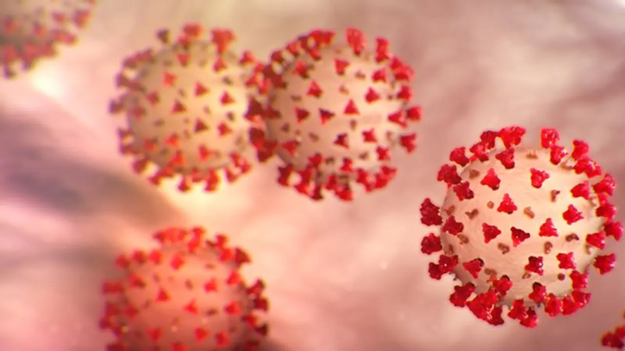 ಹೃದಯ, ನ್ಯುಮೋನಿಯಾ, ಅಸ್ತಮಾಕ್ಕೆ ಶೇ.42 ಸಾವು: ಶೇ.9ರಷ್ಟು ಸಾವಿಗೆ ಕೋವಿಡ್‌ ಕಾರಣ