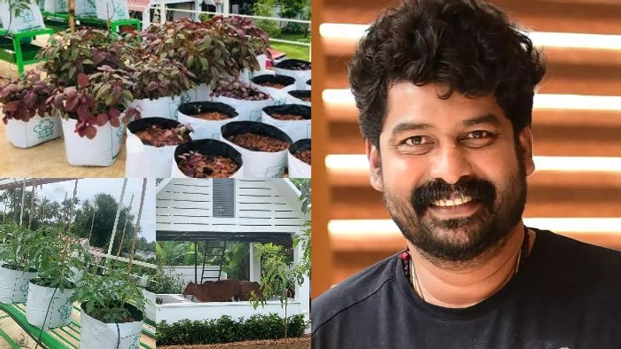 മട്ടുപ്പാവിൽ പച്ചക്കറി കൃഷി, ഒപ്പം പശുവും കോഴിയും മീനും; ലോക്ക്ഡൗണിലും ജോജു ജോർജ് തിരക്കിലാണ് മട്ടുപ്പാവിൽ പച്ചക്കറി കൃഷി, ഒപ്പം പശുവും കോഴിയും മീനും; ലോക്ക്ഡൗണിലും ജോജു ജോർജ് തിരക്കിലാണ്