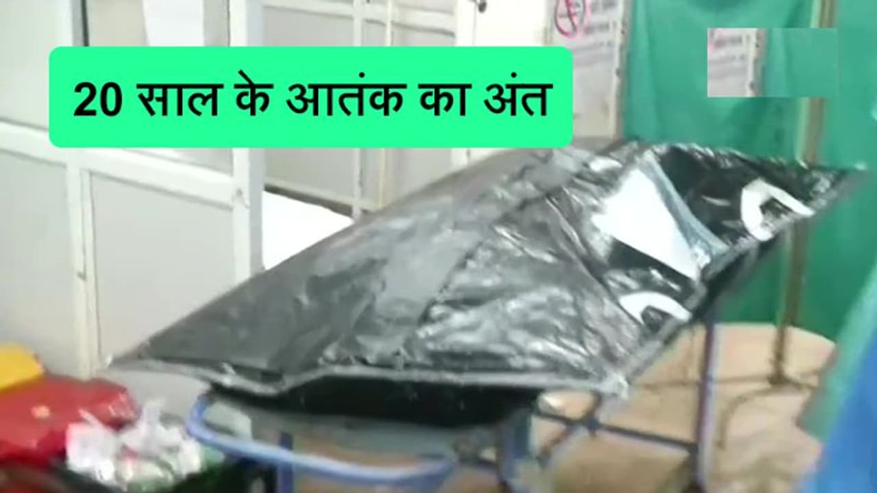 आतंक के 20 साल: पुलिस ने विकास दुबे को 4 गोलियां दागी, 3 सीने 1 बांह में लगी; गैंग के 12 साथी फरार आतंक के 20 साल: पुलिस ने विकास दुबे को 4 गोलियां दागी, 3 सीने 1 बांह में लगी; गैंग के 12 साथी फरार