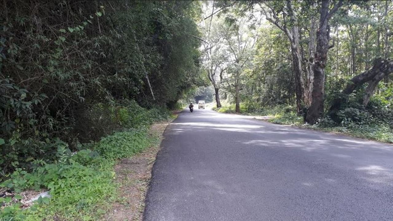 വയനാട്ടിലെ വനപാതകളില് വാഹനങ്ങളുടെ വേഗം നിയന്ത്രിക്കില്ല; തീരുമാനം മാറ്റി വനംവകുപ്പ് വയനാട്ടിലെ വനപാതകളില് വാഹനങ്ങളുടെ വേഗം നിയന്ത്രിക്കില്ല; തീരുമാനം മാറ്റി വനംവകുപ്പ്