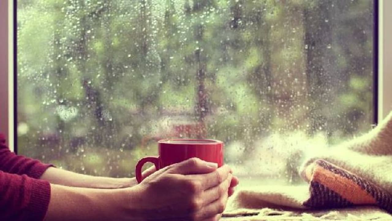 മണ്സൂണ് കാലത്തെ പ്രതിരോധശേഷി; ശ്രദ്ധിക്കാം ഈ ആറ് കാര്യങ്ങള്... മണ്സൂണ് കാലത്തെ പ്രതിരോധശേഷി; ശ്രദ്ധിക്കാം ഈ ആറ് കാര്യങ്ങള്...