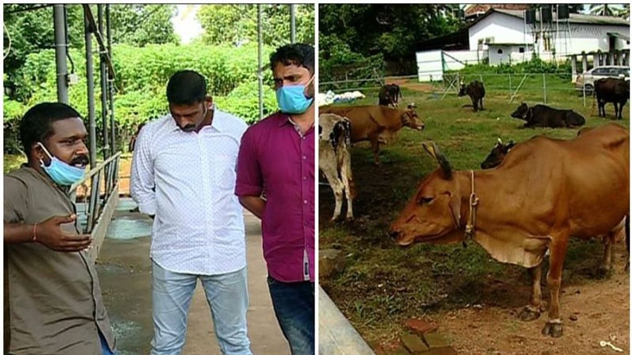 സംരംഭകര്ക്ക് കുരുക്കിട്ട് സര്ക്കാര് ഓഫീസുകള്, ഫാം ലൈസന്സിനായി കയറിയിറങ്ങി യുവാക്കള് സംരംഭകര്ക്ക് കുരുക്കിട്ട് സര്ക്കാര് ഓഫീസുകള്, ഫാം ലൈസന്സിനായി കയറിയിറങ്ങി യുവാക്കള്